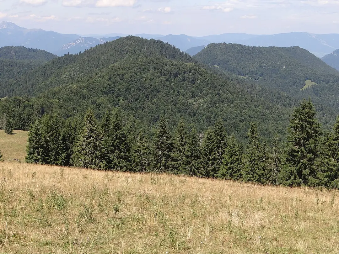 Vtáčnik