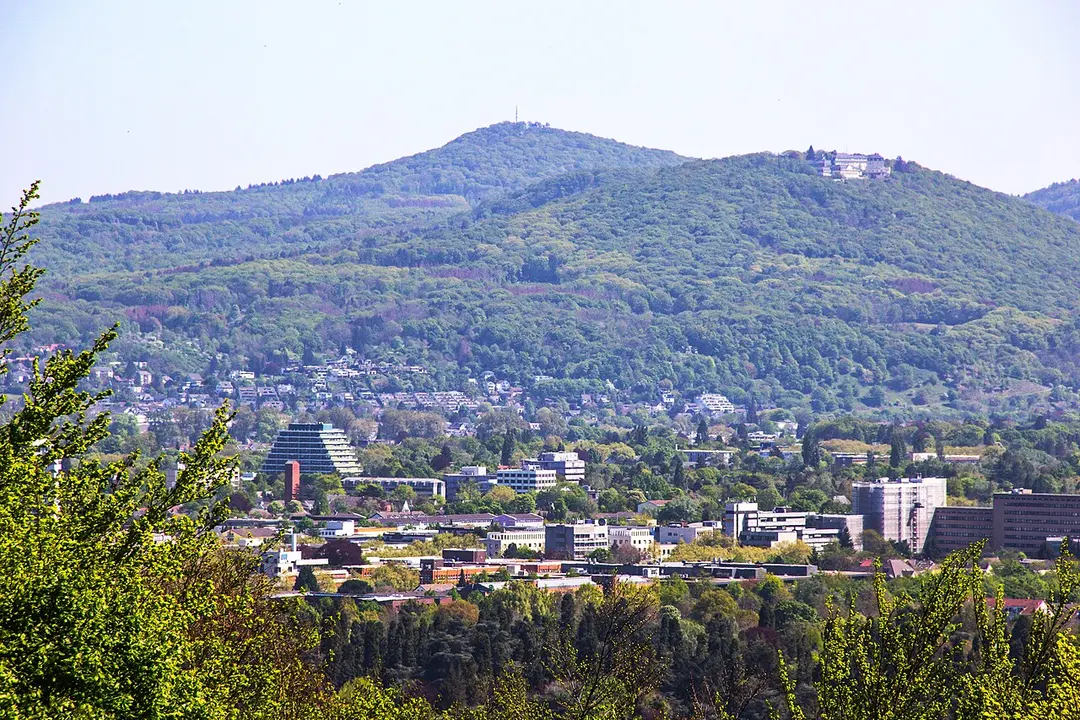 Großer Ölberg
