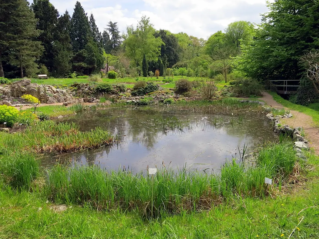 Botanischer Garten