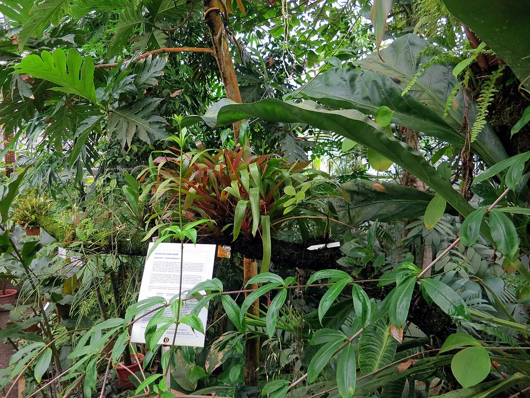 Botanischer Garten