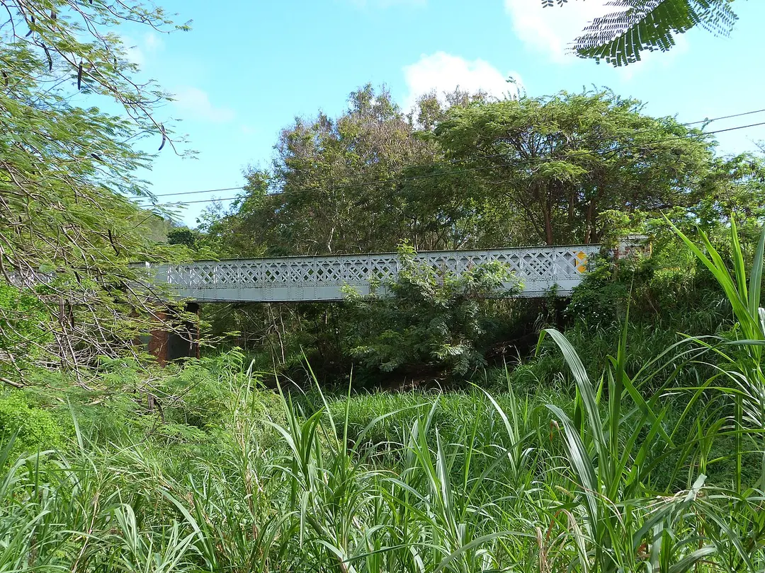 Carretera Histórica Guayama - Cayey