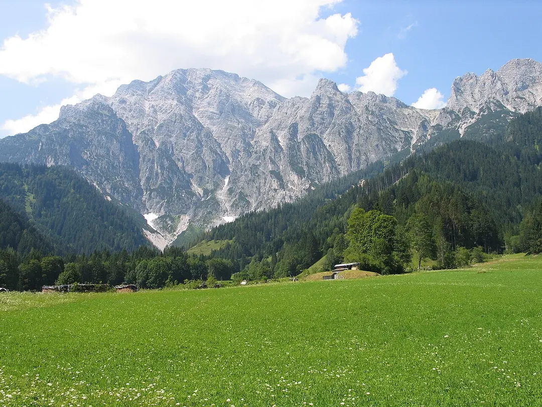 Birnhorn