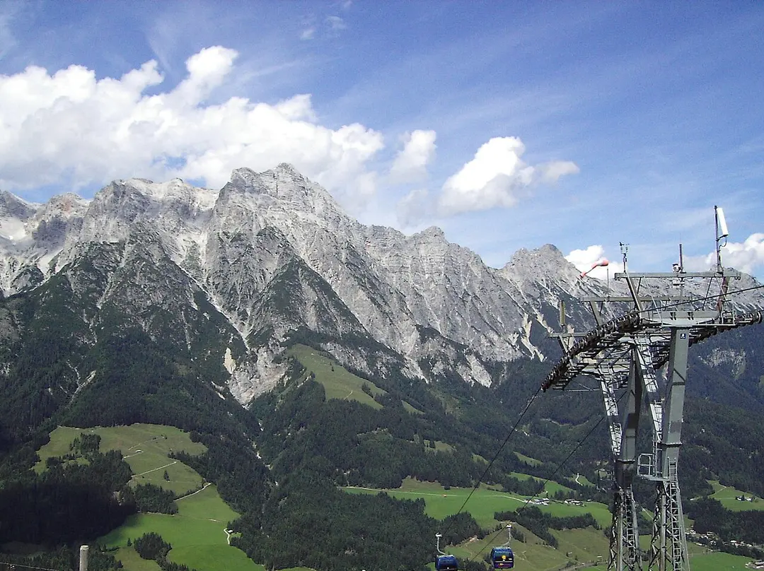 Birnhorn