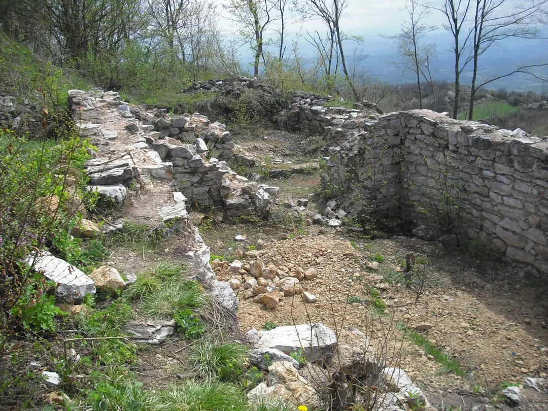 Градина Јелица