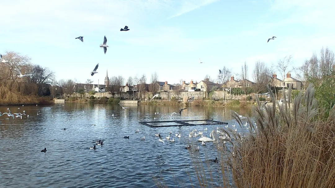 Blessington Street Basin