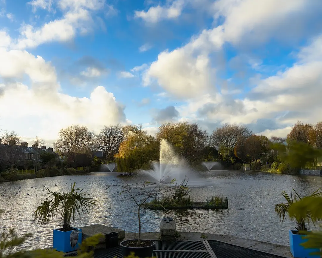 Blessington Street Basin