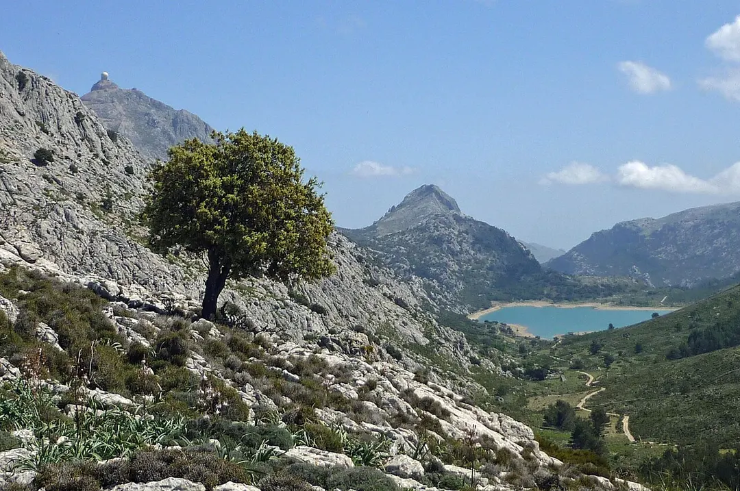 Puig de ses Vinyes