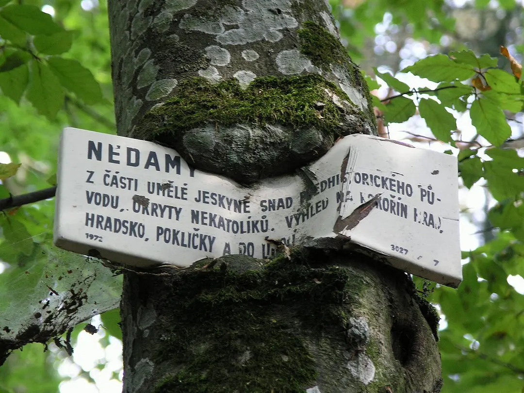Nedamy