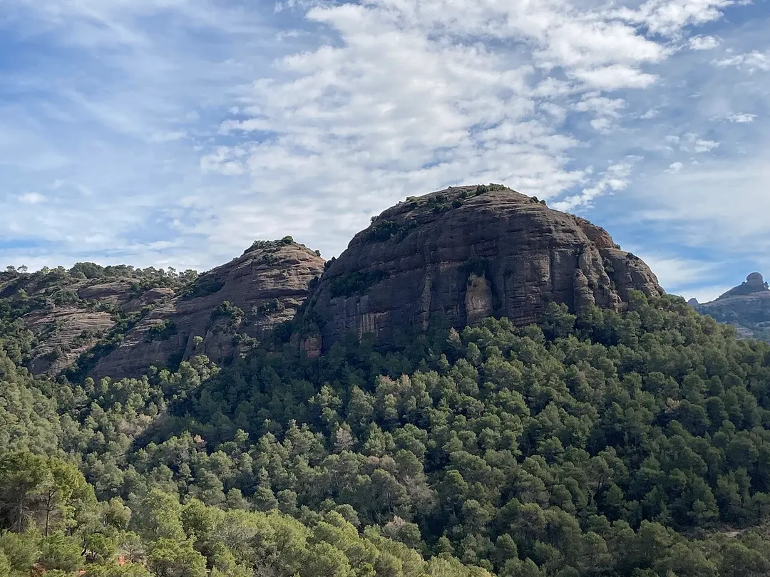 Castell de Bocs