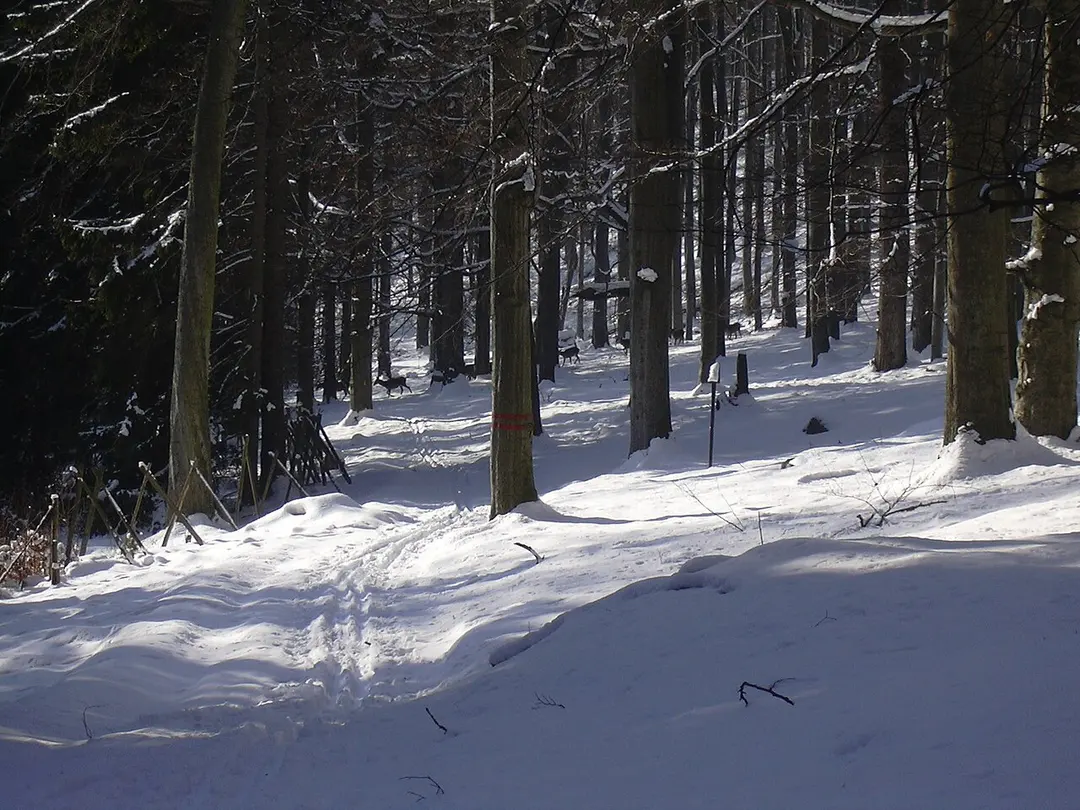 přírodní rezervace Hradec