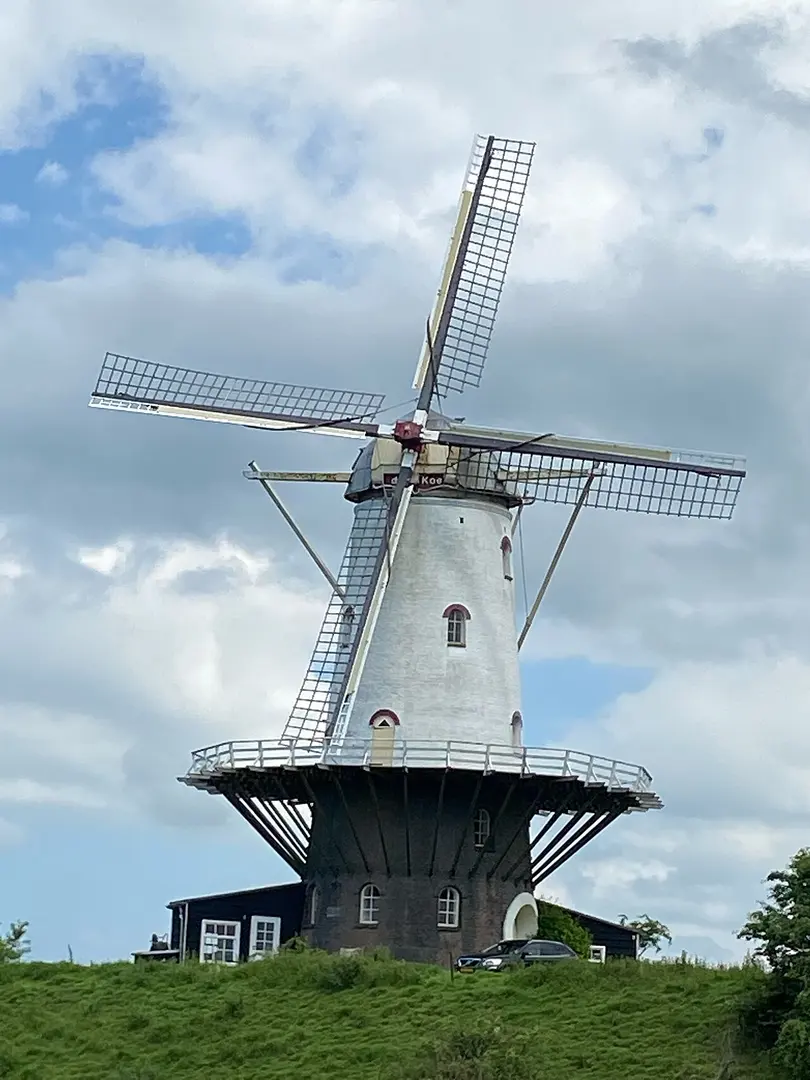 De Koe