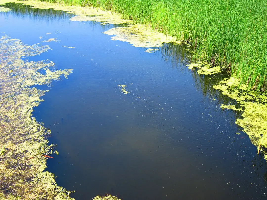 Velykyi Burluk River