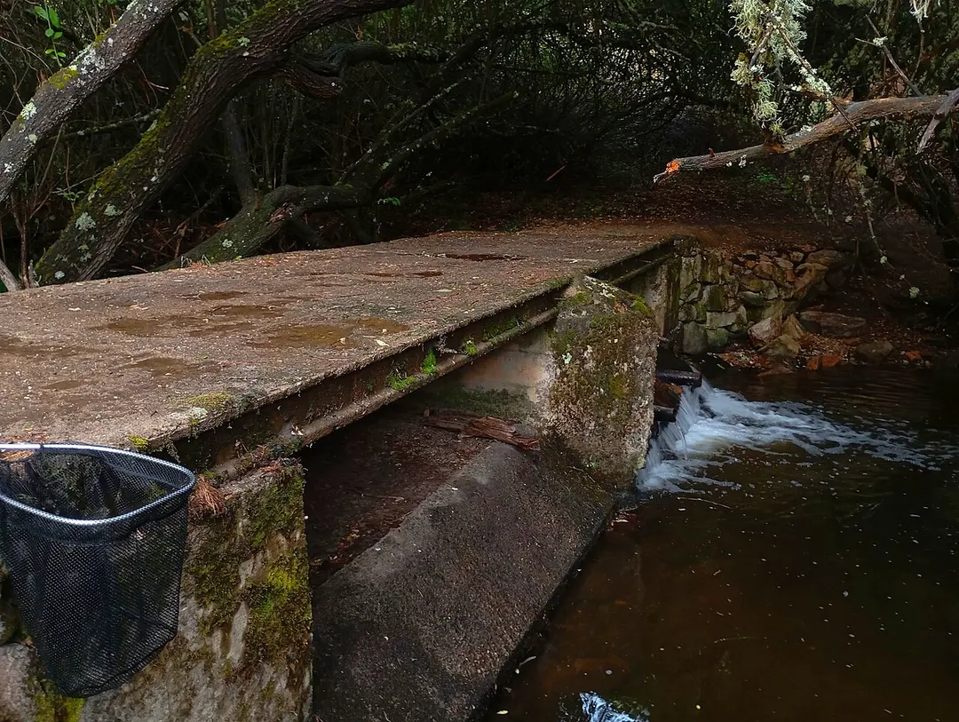 Frío or La Acebeda River