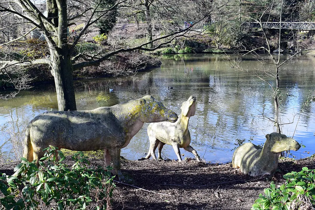 Dinosaur Court