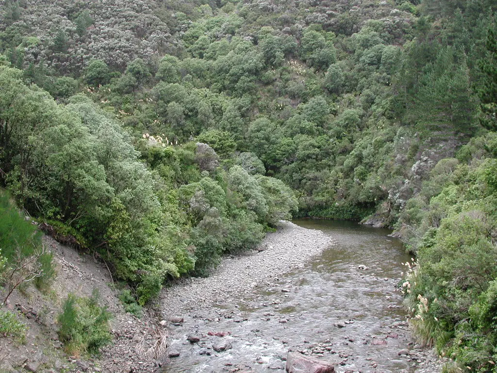 Pākuratahi River