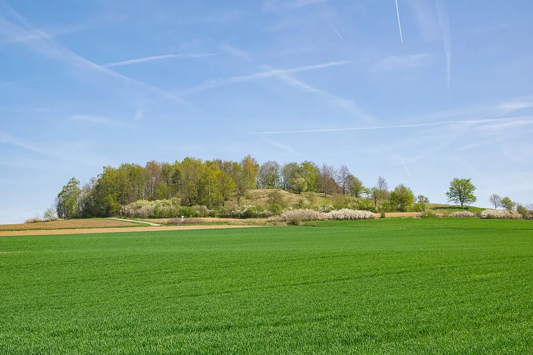 Kalkmagerrasen bei Ossendorf