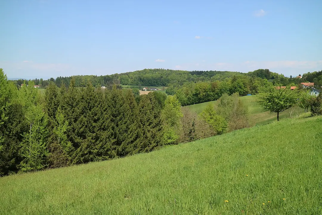 Hühnerberg