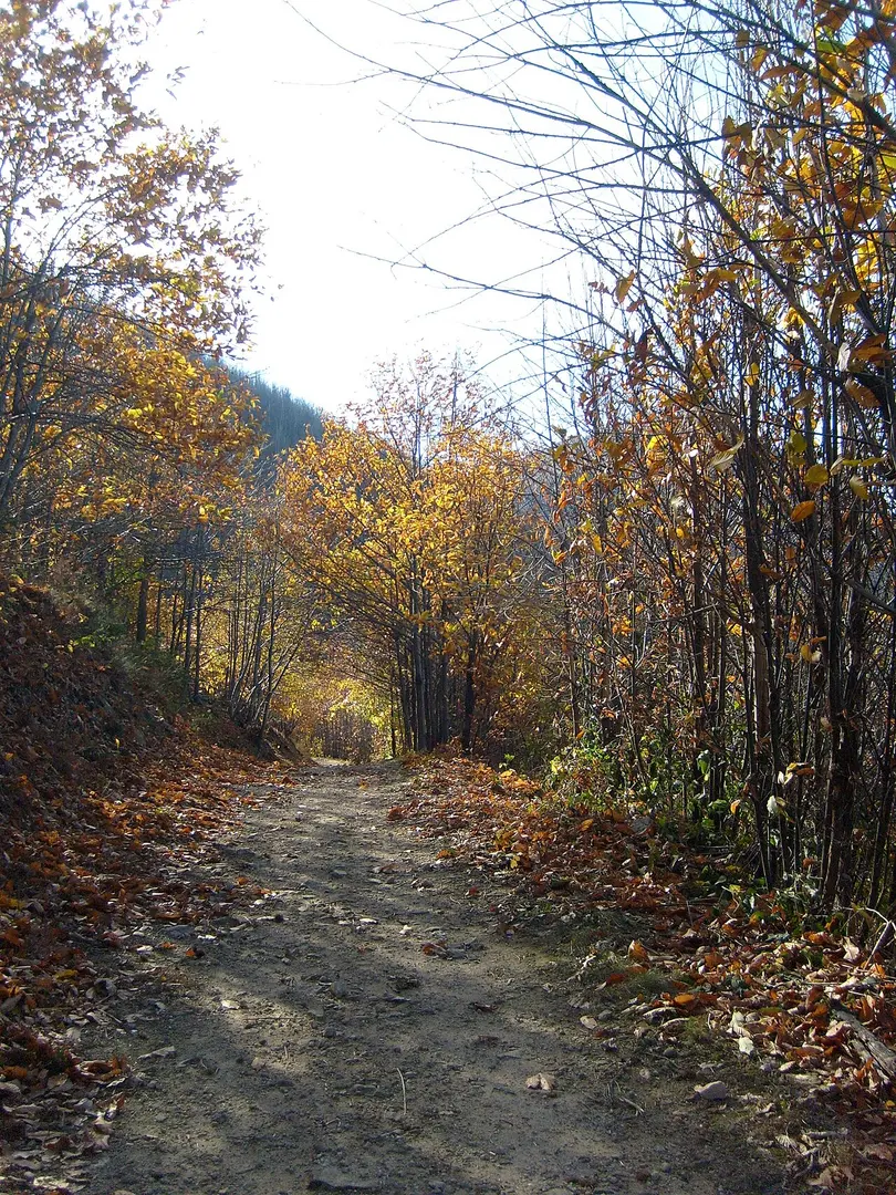 Monte Grande