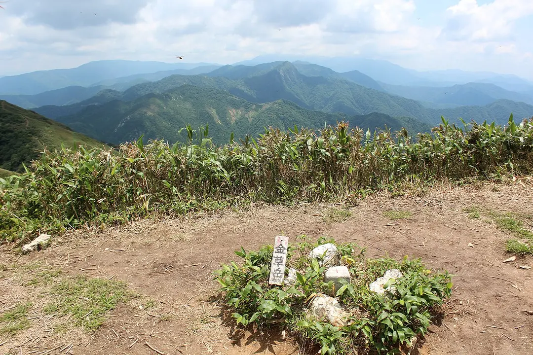 金草岳