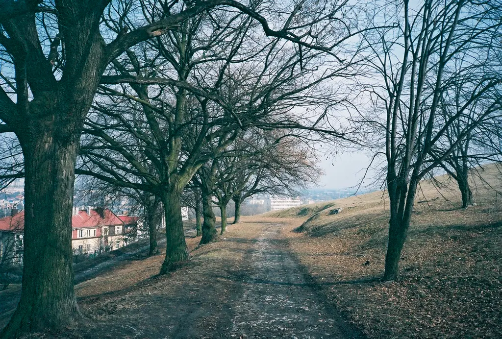 Krakus Mound