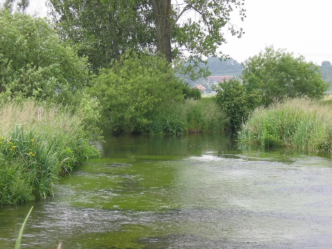 Kehlbach