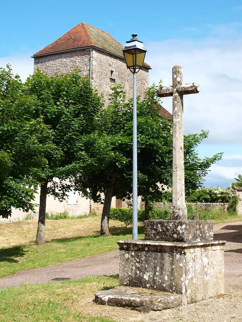 Château de Châtellenot