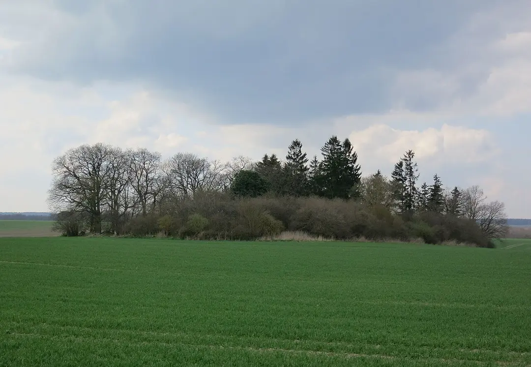 Wüste Kirche Kröchlendorff