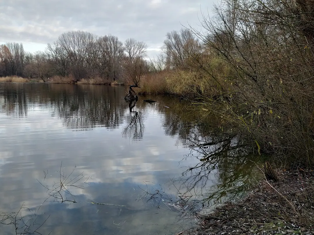 Malchower See