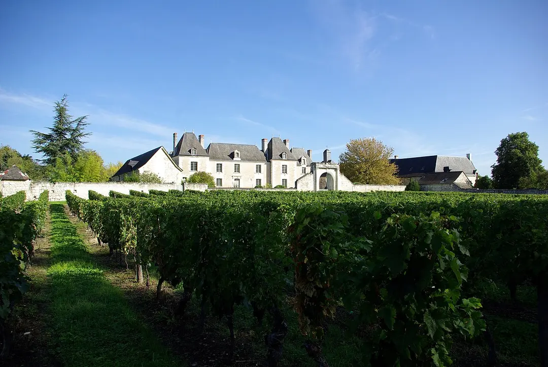 Château de Louy