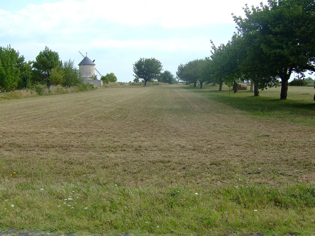 Moulin à marée des loges