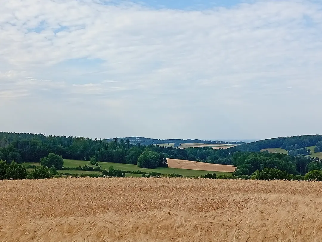 Galgenberg