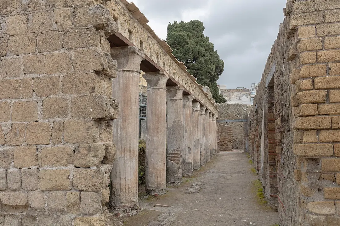 House of Aristides