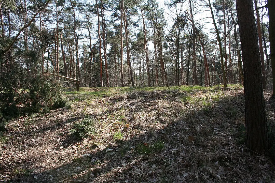 Grabhügel 28