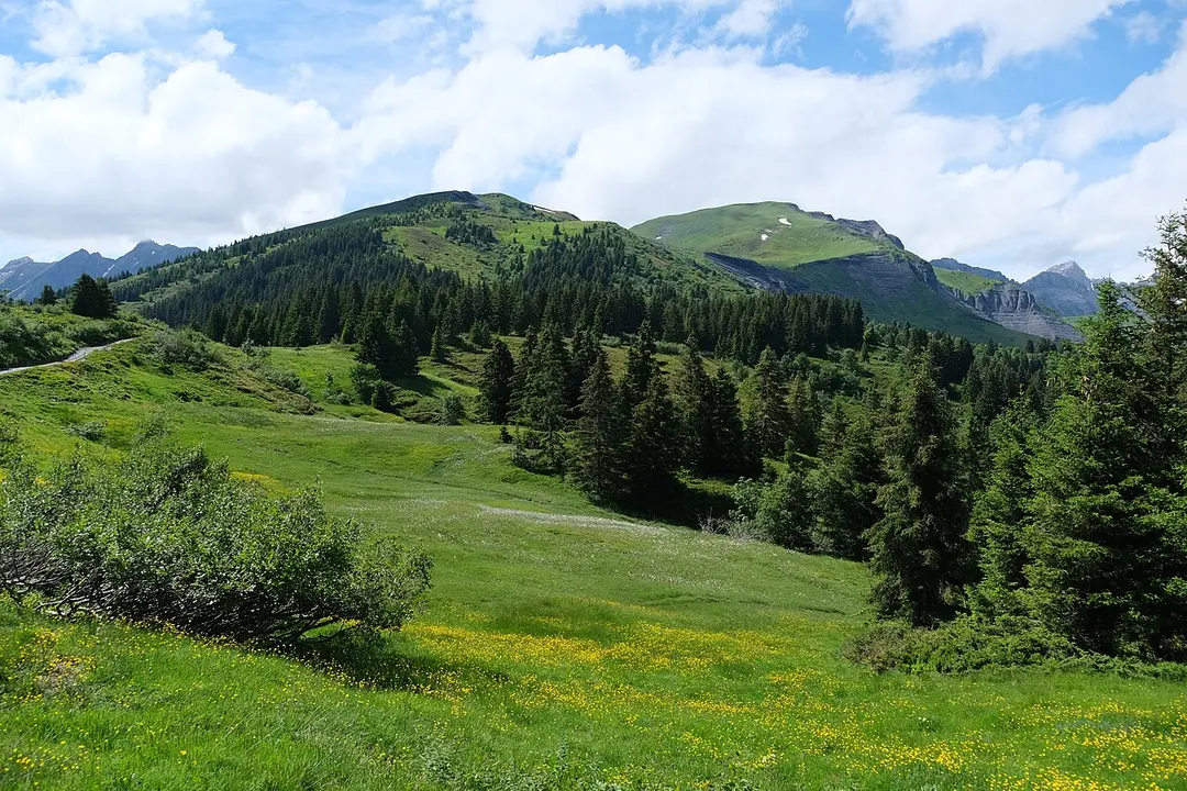 Sommet des Salles