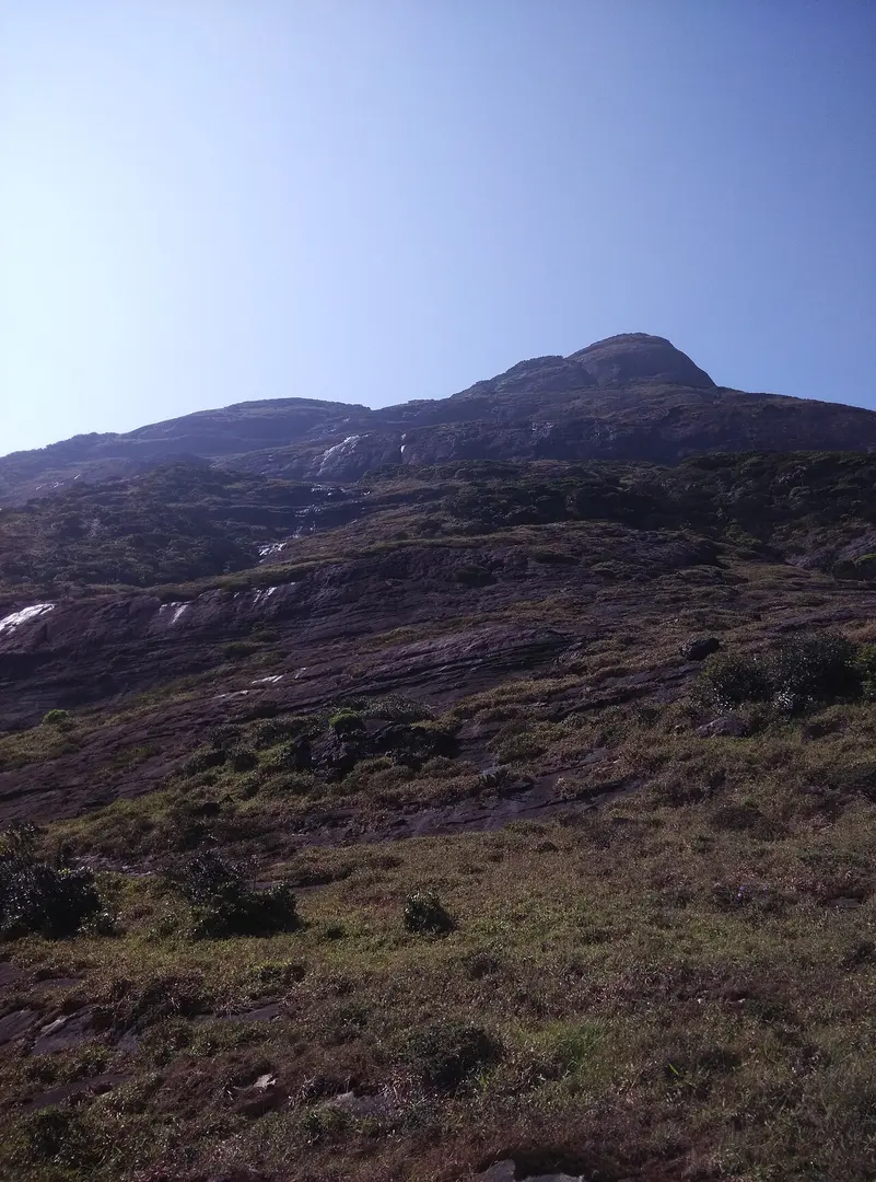 Agasthyamala