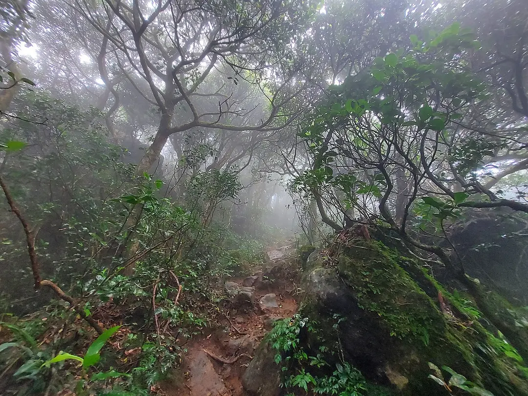 Agasthyamala