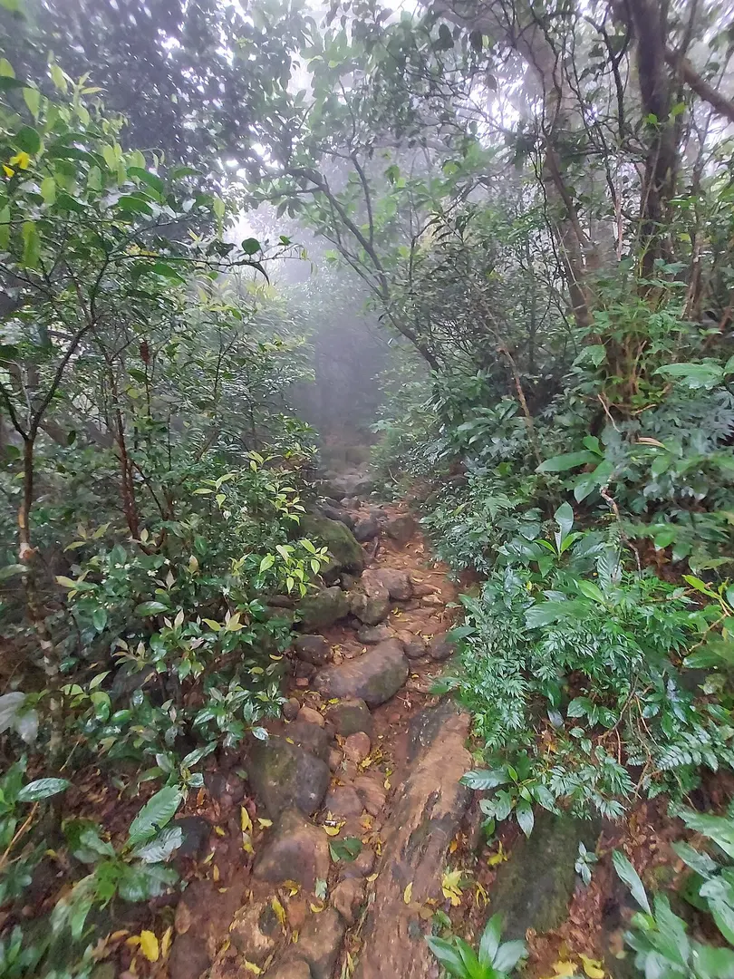 Agasthyamala