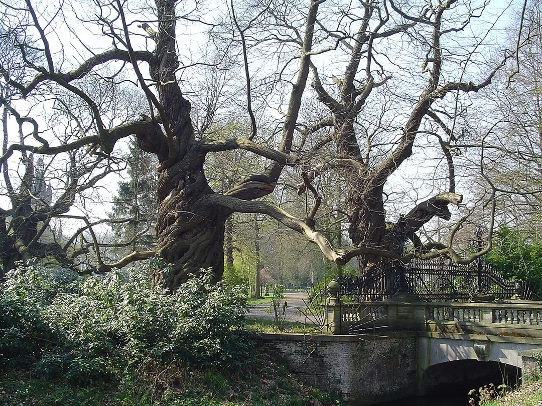 Kasteel Schouwbroek