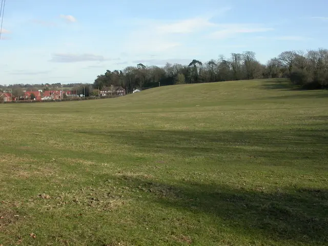 Buckland Rings