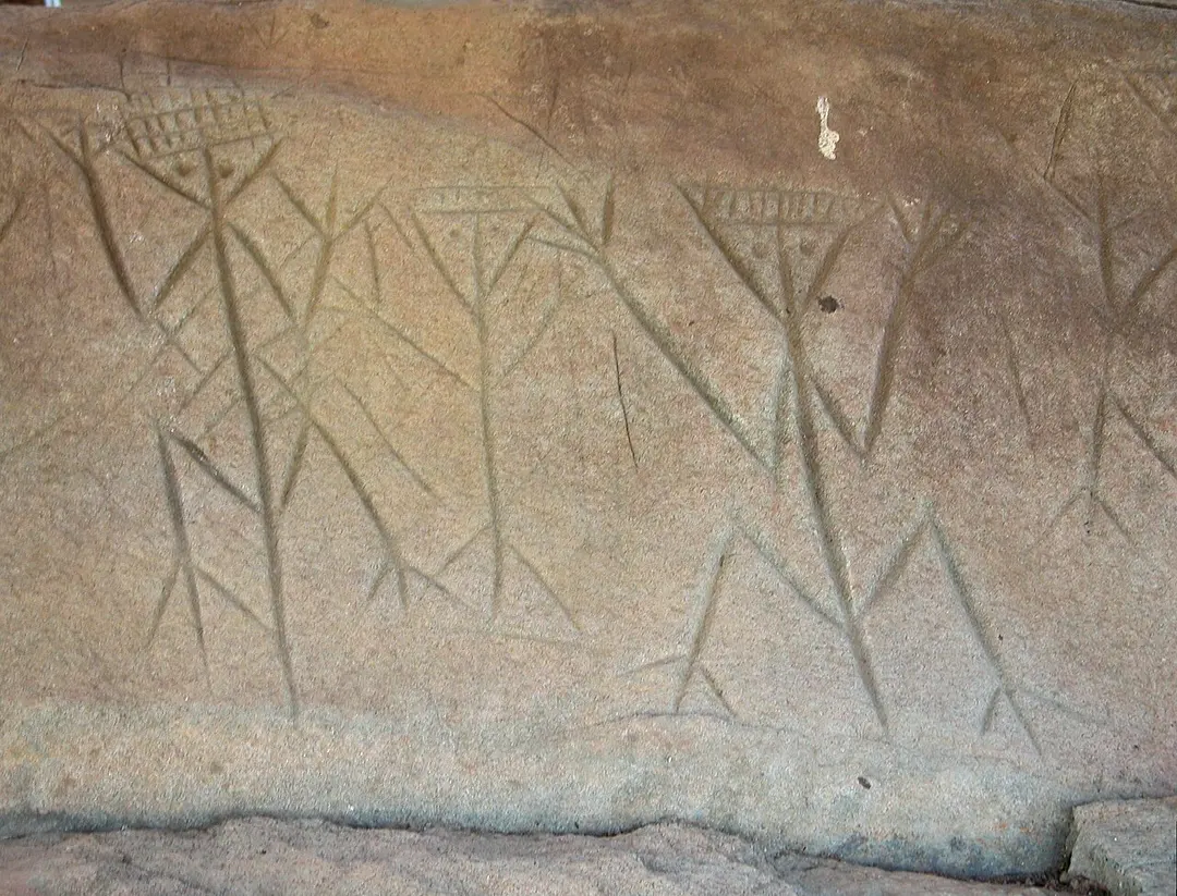 Roches gravées de la Carapa