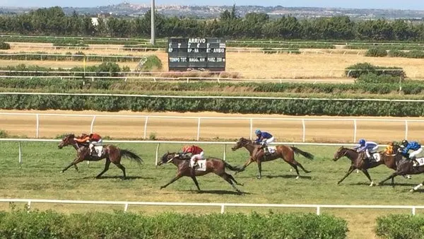 Ippodromo del Mediterraneo