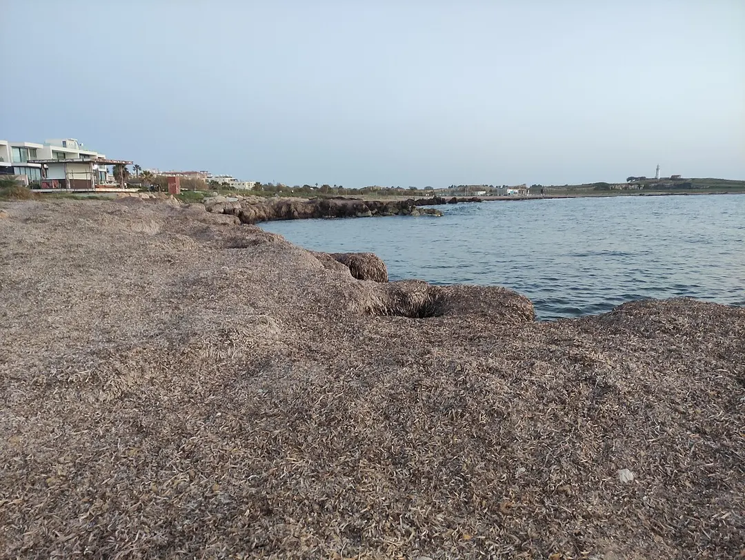Lighthouse Beach