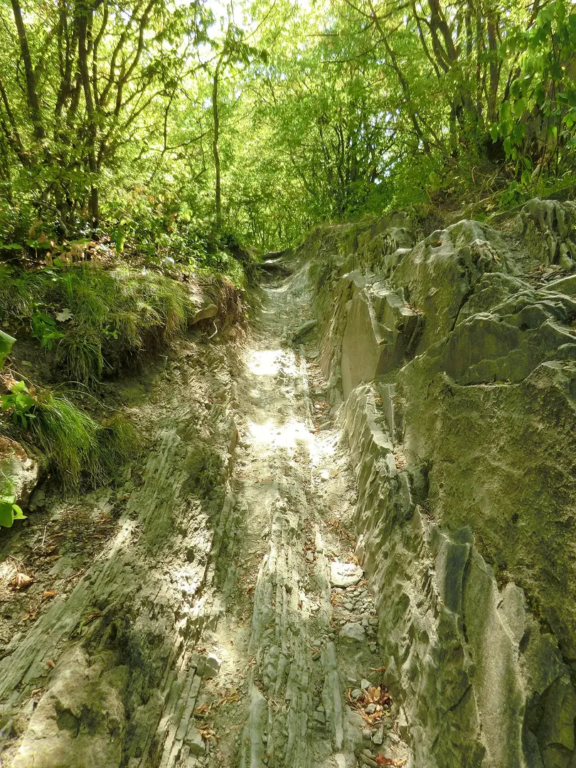 Burgruine Udscharma