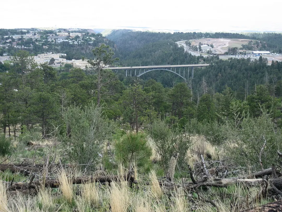Omega Canyon Bridge