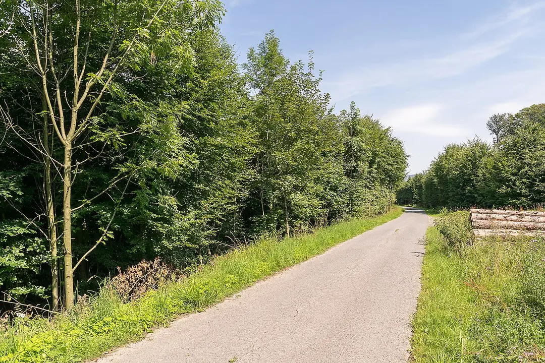 Hummerbachtal