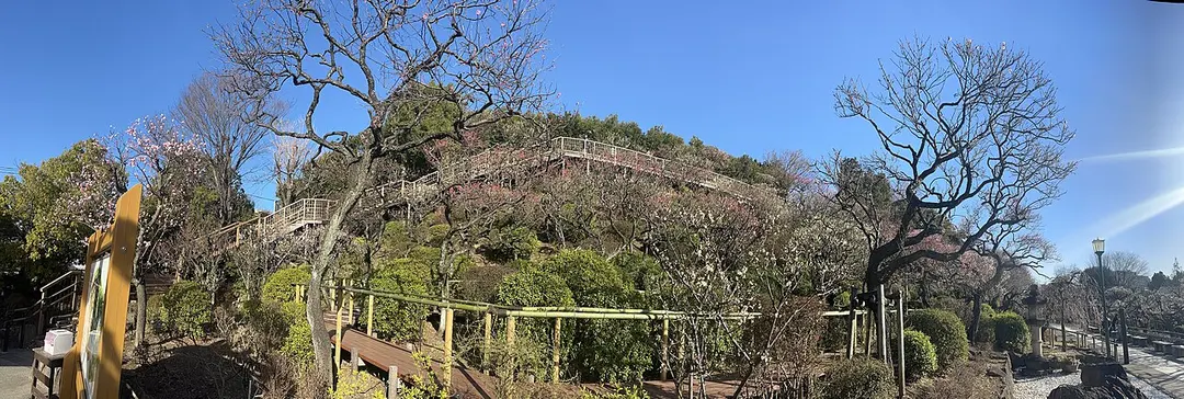 Ikegami Plum Garden