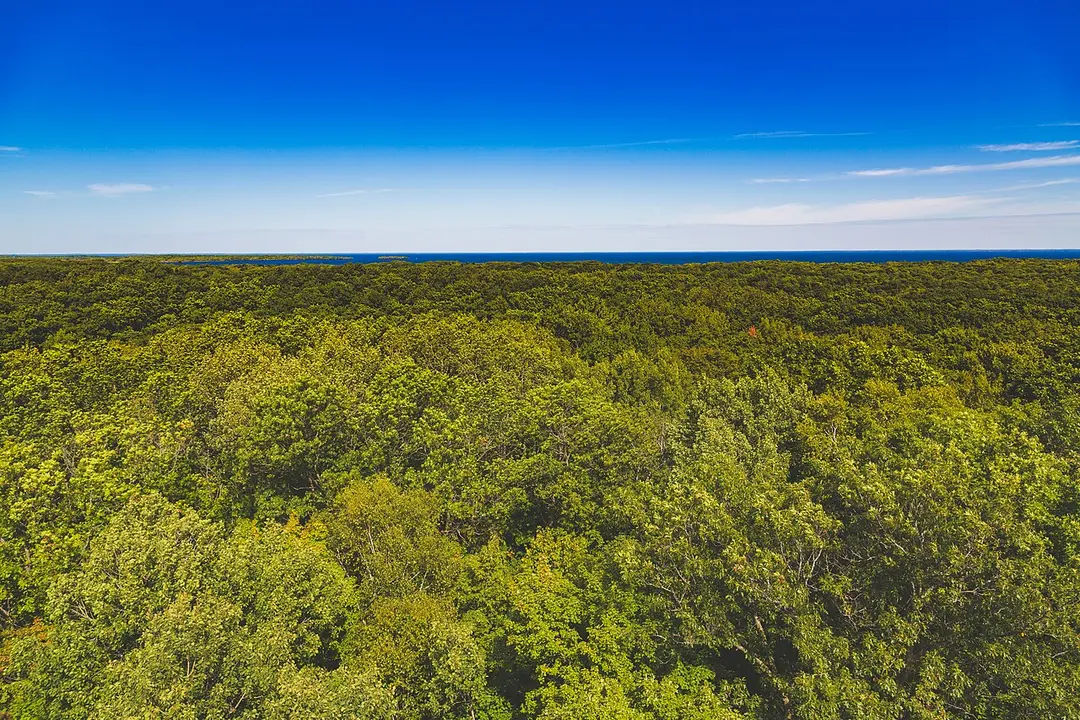 Mille Lacs Kathio State Park