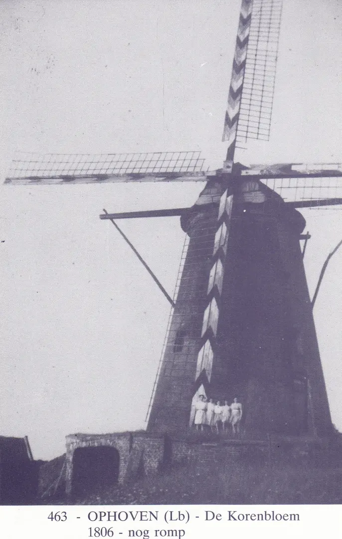 De Korenbloem