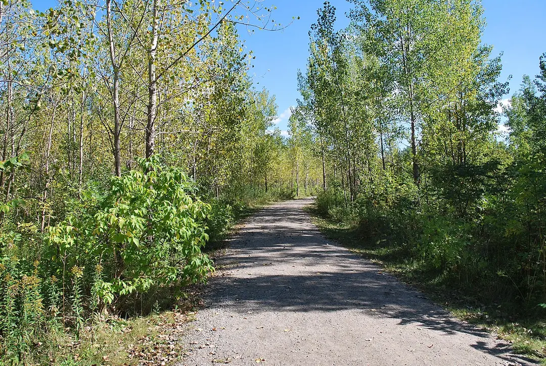Parc-nature du Ruisseau-De-Montigny
