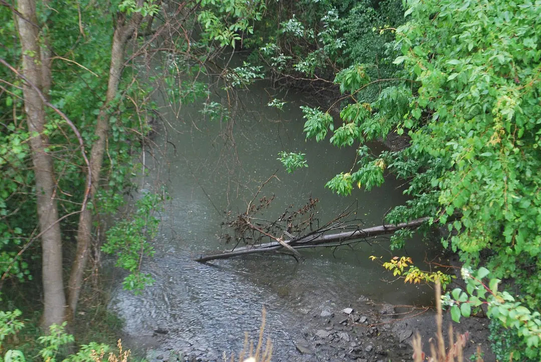 Parc-nature du Ruisseau-De-Montigny
